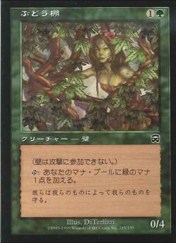【JPN】【Foil】《ぶどう棚/Vine Trellis》[MMQ]