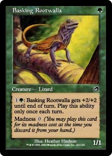 【ENG】《日を浴びるルートワラ/Basking Rootwalla》[TOR]