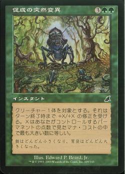 【JPN】【Foil】《促成の突然変異/Accelerated Mutation》[SCG]