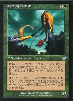 【JPN】【Foil】《梢を這うもの/Canopy Crawler》[LGN]