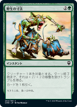 【JPN】【Foil】《野生の寸法/Wildsize》[CMR]