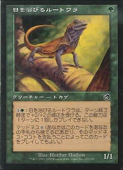 【JPN】《日を浴びるルートワラ/Basking Rootwalla》[TOR]