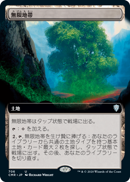【JPN】■拡張アート■《無限地帯/Myriad Landscape》[CMR]