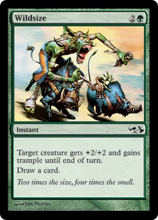 【ENG】《野生の寸法/Wildsize》[EVG]