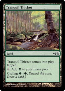 【ENG】《平穏な茂み/Tranquil Thicket》[EVG]