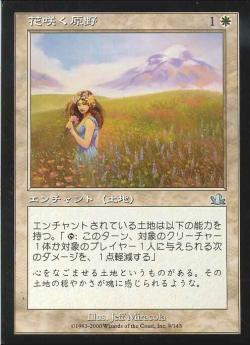 【JPN】《花咲く原野/Flowering Field》[PCY]