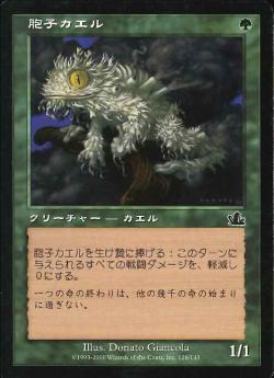 【JPN】《胞子カエル/Spore Frog》[PCY]