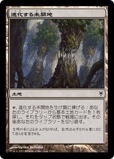 【JPN】《進化する未開地/Evolving Wilds》[DDK]