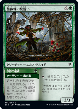【JPN】【Foil】《薔薇棘の見習い/Rosethorn Acolyte》[ELD]