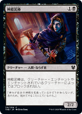 【JPN】【Foil】《神殿泥棒/Temple Thief》[THB]