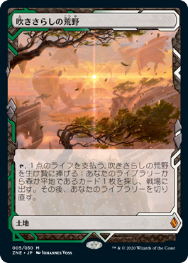【JPN】【Foil】《吹きさらしの荒野/Windswept Heath》[ZNE]