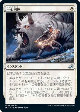 【JPN】《一心同体/Fight as One》[IKO]