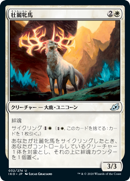 【JPN】《壮麗牝馬/Splendor Mare》[IKO]