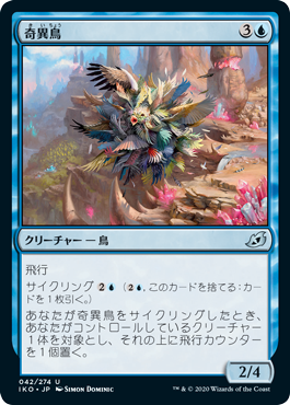 【JPN】《奇異鳥/Avian Oddity》[IKO]