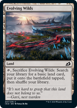 【ENG】【Foil】《進化する未開地/Evolving Wilds》[IKO]