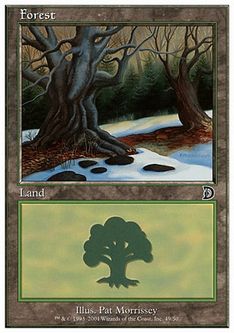 【ENG】《森/Forest》(B)[DKM]