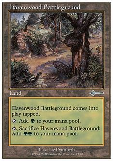 【ENG】《ヘイヴンウッドの古戦場/Havenwood Battleground》[_BD]