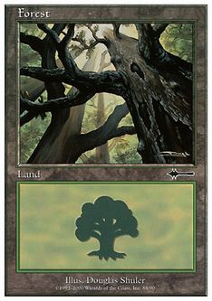 【ENG】《森/Forest》(088)[_BD]