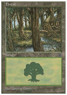 【ENG】《森/Forest》(B)[ATH] 土地