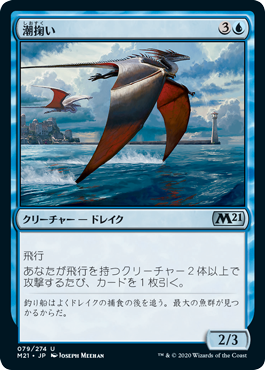 【JPN】《潮掬い/Tide Skimmer》[M21]