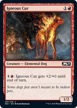 【ENG】【Foil】《炎血の野犬/Igneous Cur》[M21]