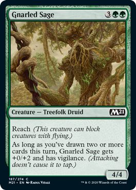 【ENG】【Foil】《節くれの賢者/Gnarled Sage》[M21]