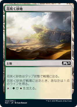 【JPN】《花咲く砂地/Blossoming Sands》[M21]