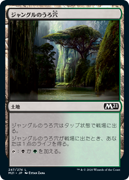 【JPN】《ジャングルのうろ穴/Jungle Hollow》[M21]