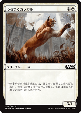 【JPN】《うろつくカラカル/Prowling Caracal》[M20]