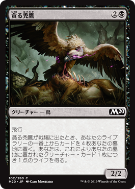 【JPN】【Foil】《貪る禿鷹/Gorging Vulture》[M20]