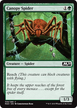 【ENG】《梢の蜘蛛/Canopy Spider》[M20]