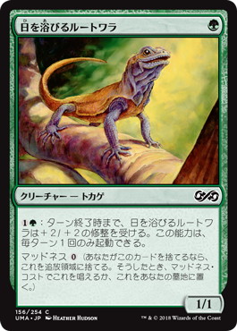 【JPN】【Foil】《日を浴びるルートワラ/Basking Rootwalla》[UMA]