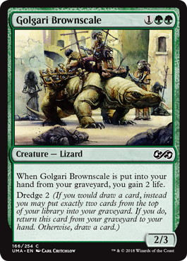 【ENG】【Foil】《ゴルガリの茶鱗/Golgari Brownscale》[UMA]