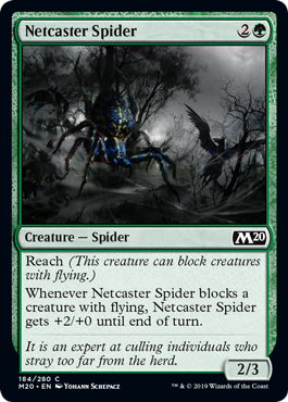 【ENG】【Foil】《網投げ蜘蛛/Netcaster Spider》[M20]