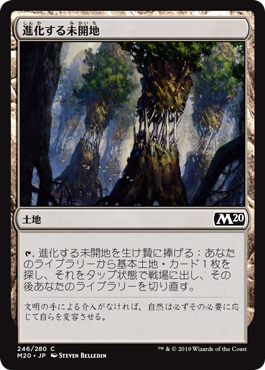 【JPN】【Foil】《進化する未開地/Evolving Wilds》[M20]