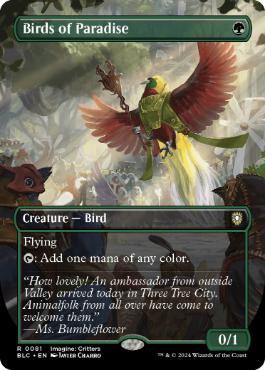 【ENG】【Foil】■ボーダーレス■《極楽鳥/Birds of Paradise》[BLC]
