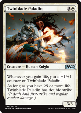 【ENG】《双刃の聖騎士/Twinblade Paladin》[M20]