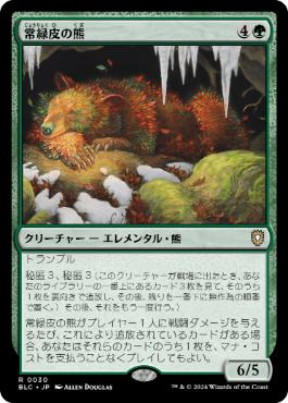 【JPN】《常緑皮の熊/Evercoat Ursine》[BLC]