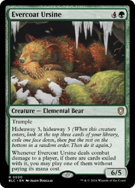 【ENG】《常緑皮の熊/Evercoat Ursine》[BLC]
