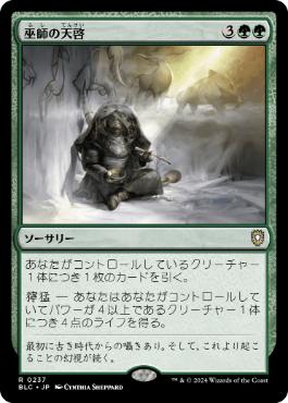【JPN】《巫師の天啓/Shamanic Revelation》[BLC]