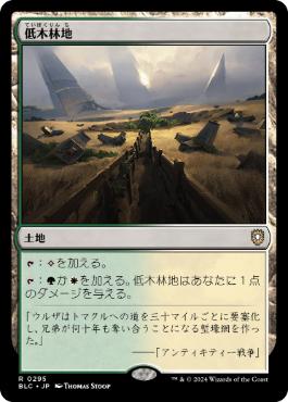 【JPN】《低木林地/Brushland》[BLC]