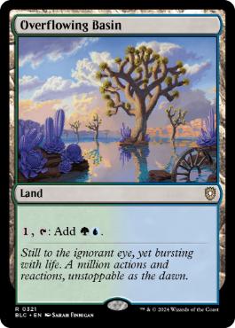 【ENG】《溢れ出た区画/Overflowing Basin》[BLC]