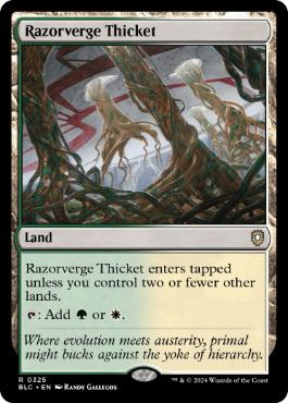 【ENG】《剃刀境の茂み/Razorverge Thicket》[BLC]