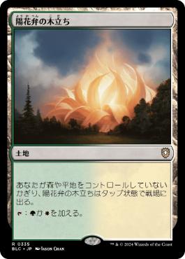 【JPN】《陽花弁の木立ち/Sunpetal Grove》[BLC]