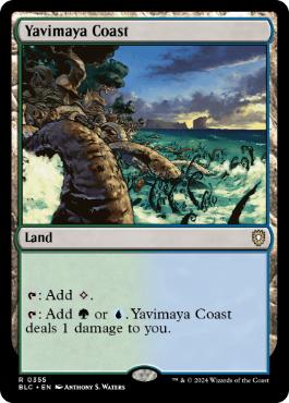 【ENG】《ヤヴィマヤの沿岸/Yavimaya Coast》[BLC]