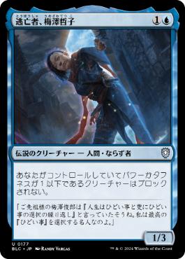 【JPN】《逃亡者、梅澤哲子/Tetsuko Umezawa, Fugitive》[BLC]