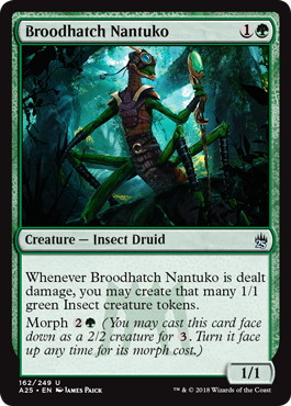 【ENG】【Foil】《大群を産むナントゥーコ/Broodhatch Nantuko》[A25]