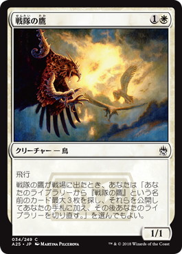 【JPN】《戦隊の鷹/Squadron Hawk》[A25]