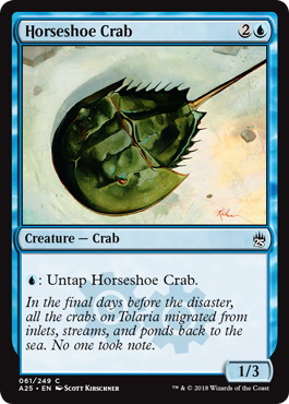 【ENG】【Foil】《カブトガニ/Horseshoe Crab》[A25]