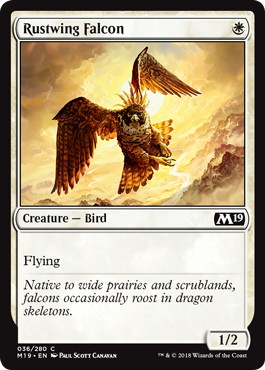 【ENG】《錆色翼の隼/Rustwing Falcon》[M19]
